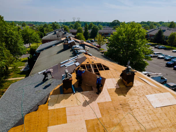 Best Storm Damage Roof Repair  in Huntington, TX
